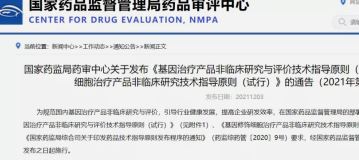 CDE发布|基因治疗产品、基因修饰细胞治疗产品非临床研究与评价技术指导原则